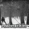 Валка леса пилой "Камнис" 1930-е годы
